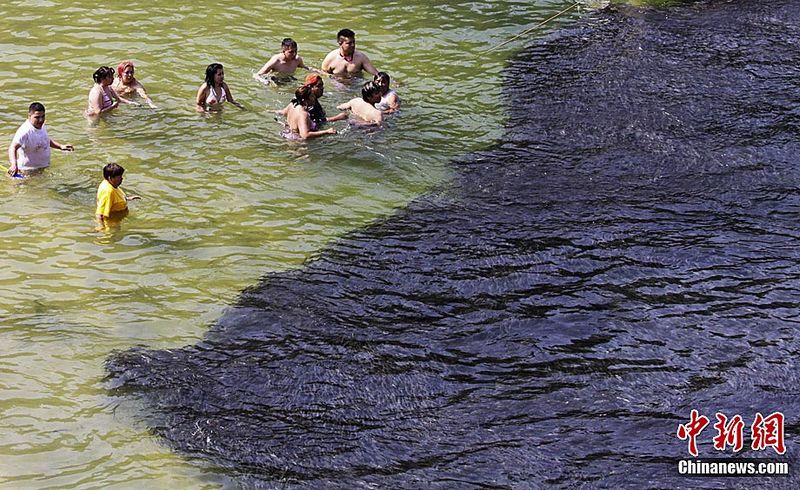 Im flachen Küstengewässer Mexikos hält sich seit vergangenen Freitag ein riesiger Fischschwarm auf. Touristen und einheimische Fischer nehmen an, dass der Tsunami, der von dem Erdbeben der Stärke 9,0 am 11. März im Gewässer nahe Japan verursachte, die normale Meeresströmung gestört und dadurch das Verhalten der Fische beeinflusst habe.