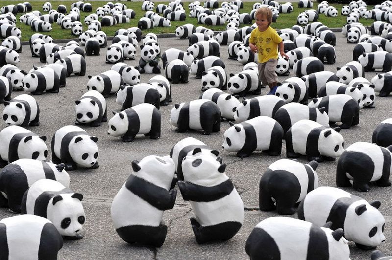 Natur Und Umwelt German China Org Cn WWF Feiert Mit 1600 Papier