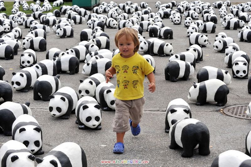 Natur Und Umwelt German China Org Cn Wwf Feiert Mit Papier