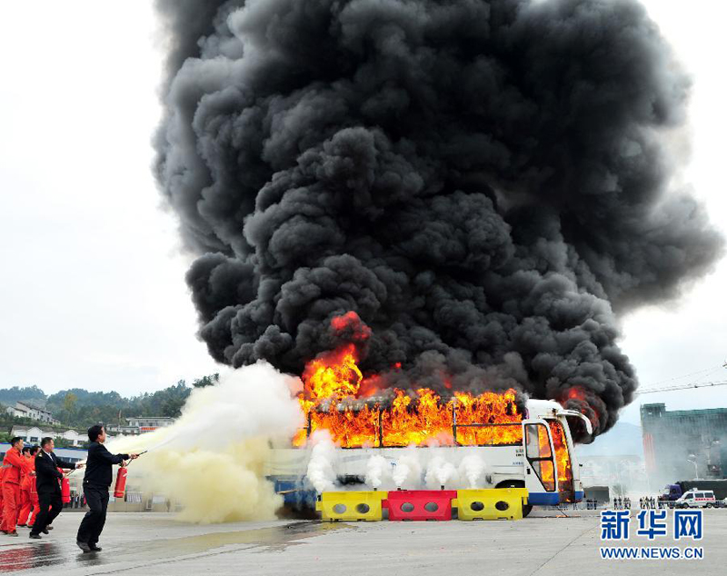 Natur Und Umwelt German China Org Cn Landesweite Bungen Zum Tag