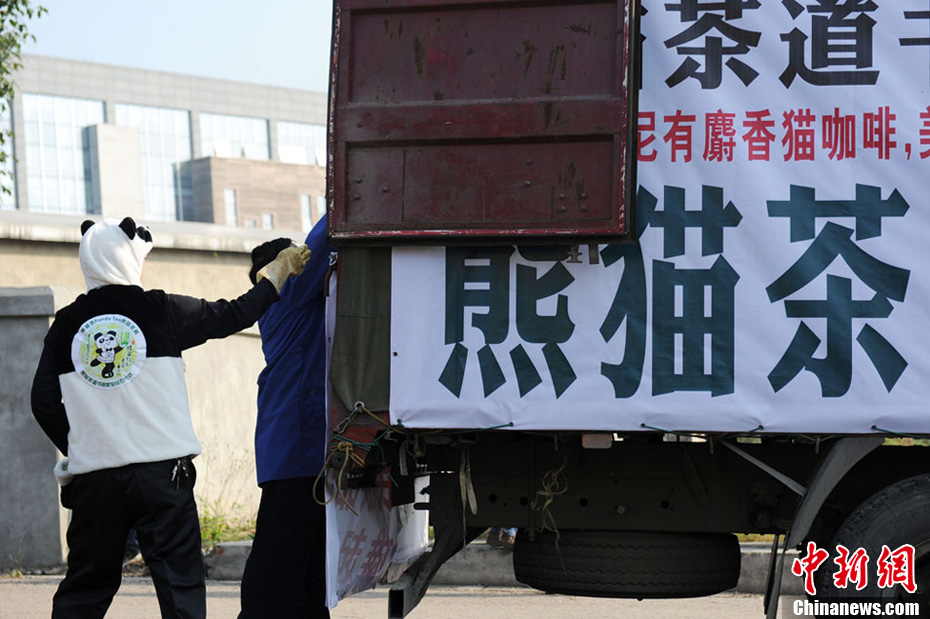 Natur Und Umwelt German China Org Cn Pandab Rentee Der Teuerste