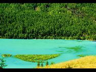 Das Ha'nasi Naturreservat ist ein Teil des Gebiets Ha'nasi-See und liegt im nördlichen Teil des Landkreises Burqin in der Autonomen Region Xinjiang. Es war 1980 unter dem Slogan 'Reines Land auf der Welt' ausgewiesen worden, weil die Natur dort noch immer unberührt war. Das ganze Naturschutzgebiet umfasst eine Fläche von 2200 Quadratkilometern und birgt Schneeberge, Gletscher, Wälder, Blumen, Seen, Wiesen sowie fast jede andere Art von natürlicher Schönheit.