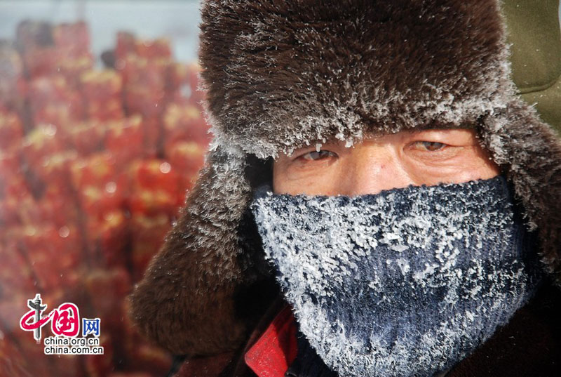 Natur und Umwelt german china org cn Bei dieser Kälte gefriert