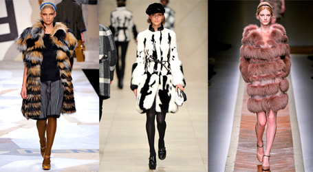 Egregious Use of Fur