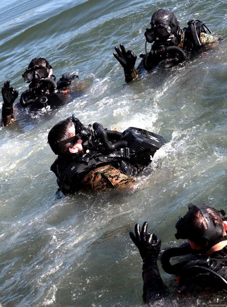 Die US Marine Corps Force Reconnaissance ist eine Spezialeinheit des US Marine Corps für Fernaufklärung. Die Angehörigen dieser Einheit sollen angeblich die stärksten Froschmänner auf der Welt sein.