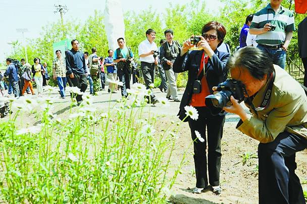 Das Foto zeigt, zahlreiche Touristen, die am 17. Mai den botanischen Garten in der Stadt Dongying der ostchinesischen Provinz Shandong besuchten.