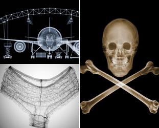 Wenn man von Röntgenbildern spricht, denkt die meisten Menschen gleich an medizinische Geräte oder die Sicherheitskontrolle am Flughafen. Aber glauben Sie, dass mit Röntgenstrahlen auch fantastische Kunstwerke hergestellt werden?