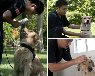 Kadi gehört zum Polizeiteam von Drogenspürhunden. Er ist im Ressort des Ürümqi-Zollamtes in der Hauptstadt der nordwestchinesischen Autonomen Region Xinjiang der Uiguren zuständig für das Auffindung der Drogen.