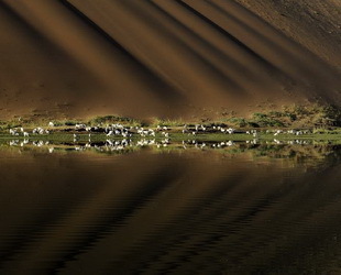 Die Badain Jaran Wüste ist 47.000 Quadratkilometer groß und dünn besiedelt. Sie ist berühmt für die größten stehenden Sanddünen der Welt. Manche Dünen erreichen eine Höhe von 500 Metern.