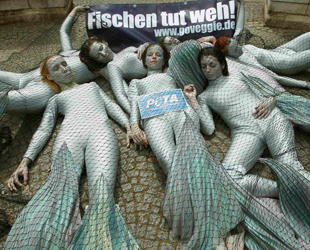 Der Tod durch Ersticken ist besonders grausam. Um auf das Leiden der Meeresbewohner aufmerksam zu machen, protestierten Aktivisten der Tierrechtsorganisation PETA Deutschland e.V. vor kurzem in Düsseldorf.