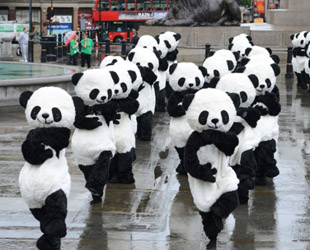 Die Panda-Sensibilisierungswoche erlebte am Mittwoch auf dem Londoner Trafalgar Square einen warmen und kuscheligen Start: 108 'Pandas' führten auf dem berühmten Platz in der Innenstadt eine Tai-Chi-Show auf und umarmten Passanten.