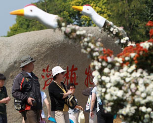 Die Blumenausstellung im Shanghaier Botanischen Garten, auf der insgesamt 10.000 Chrysanthemen von rund hundert Arten präsentiert werden, wurde am Dienstag eröffnet.