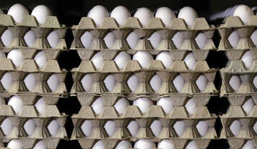 Rund 150 landwirtschaftliche Betriebe in Niedersachsen seien in Verdacht geraten, Eier aus konventioneller Haltung als Bio-Eier deklariert zu haben. Dies gab Bundesverbraucherministerin Ilse Aigner am Montag bekannt.