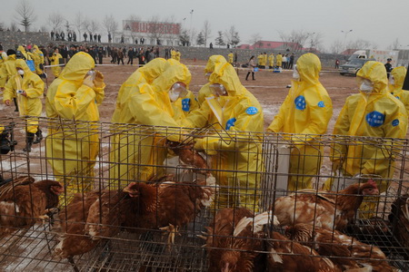 Am 18. März wurde in Zichuan, einem Bezirk der ostchinesischen Stadt Zibo (Provinz Shandong) eine Übung zur Bekämpfung schwerer tierischer Epidemien durchgeführt. An der Übung nahmen über 100 Personen teil.