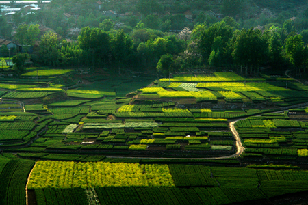 Der Kreis Yiyuan in der ostchinesischen Provinz Shandong ist bekannt für schöne Landschaften und die nicht minder schönen Menschen, die dort ein harmonisches Leben genießen. Jetzt im Frühling zeigt sich der Landstrich von seiner schönsten Seite.