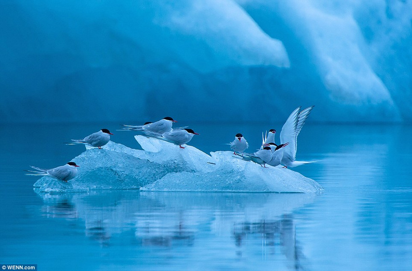 Bilder German China Org Cn Faszinierende Schonheit Der Natur Pramierte Naturfotografie