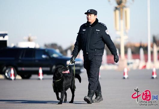 Beijing: Spürhunde schützen politische Versammlungen
