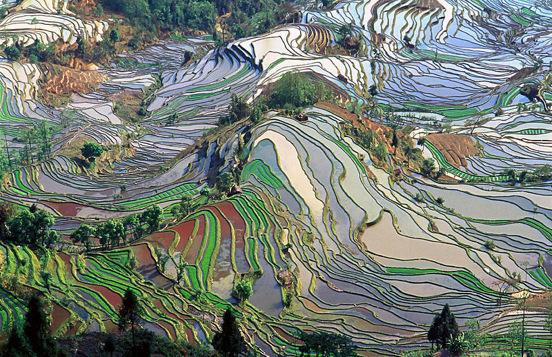 File:Terrace field yunnan china denoised.jpg