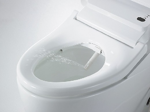 Nach Kameras und Kosmetika stehen neuerdings auch Reiskocher, Haartrockner, Messer und sogar Toiletten-Deckel auf der Einkaufsliste von chinesischen Touristen in Japan. Die chinesischen Hersteller sind gefordert.