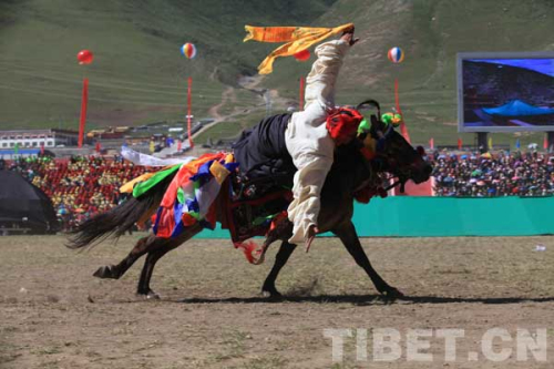 Yak-Fest in Yushu