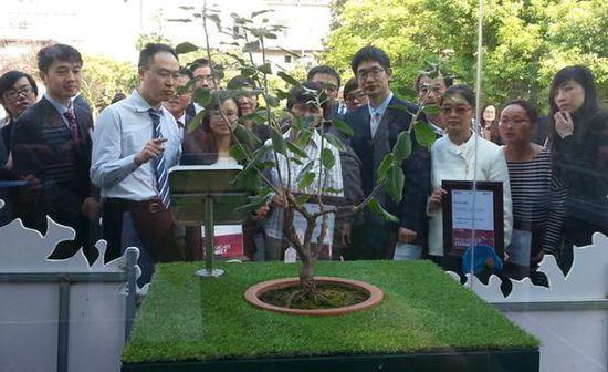 Ein Ast von demjenigen Baum, dessen Früchte vor mehr als drei Jahrhunderten Isaac Newton zur Entdeckung der Schwerkraft inspiriert haben, wurde am Mittwoch in der Wissenschaftshalle in Shanghai ausgestellt.