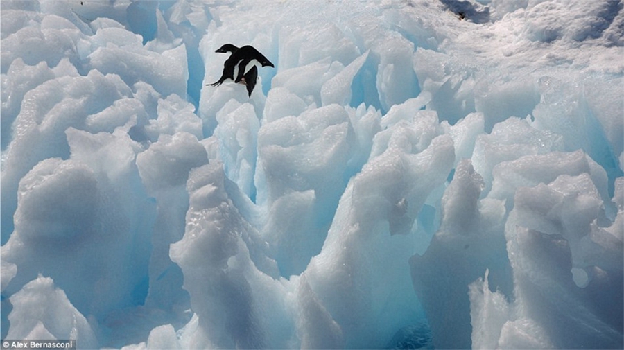 Schönheit bei minus 90 Grad: die Antarktis