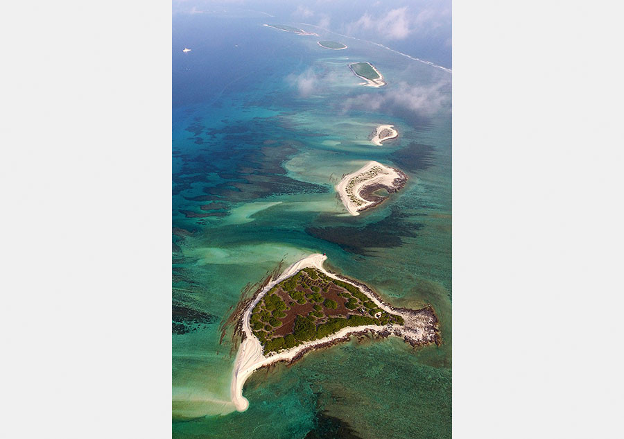 Stern an der Meeresküste erhält