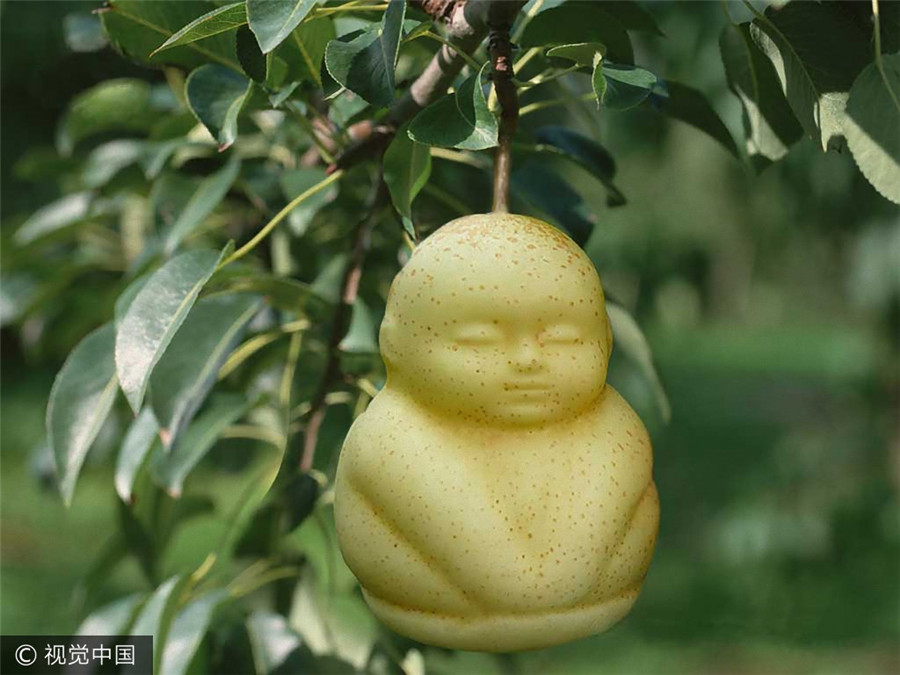 Wer möchte eine Birne in Buddhaform essen? - Welt 