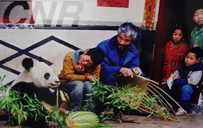四川大熊猫栖息地将申报世界遗产(组图)