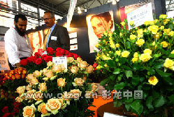 中国、雲南省でアジア花卉取引センター建設へ