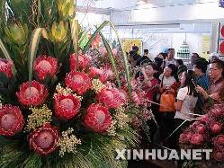 中国、雲南省でアジア花卉取引センター建設へ