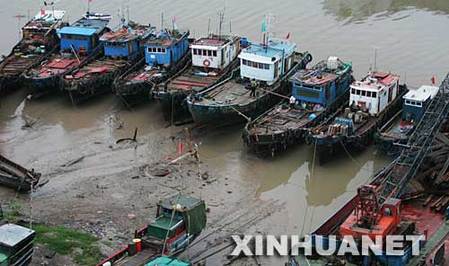 9月18日，近百艘渔船和十多艘工程船安全进入上海南汇区芦潮港避风。当日，2007年第13号台风“韦帕”逼近华东沿海，上海普降中到大雨，预计还将出现暴雨和特大暴雨。     新华社记者 裴鑫摄 