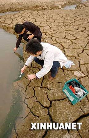 11月15日，湖南大学的两名学生在河床上取实验水样。新华社记者 赵众志摄