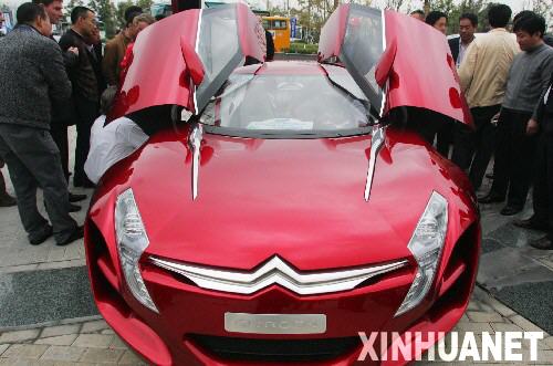 11月15日，参观者在观看一辆跑车。 当日，2007全球清洁能源汽车挑战赛开幕式在上海举行。世界各大汽车厂商生产的120多部拥有前沿清洁能源技术的车辆亮相，向观众展示最新颖的概念车型和汽车技术。 