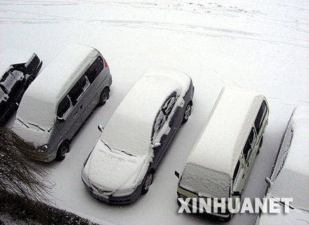 11月19日，吉林省吉林市降下今冬第一场大雪，学生们在操场上玩雪。吉林省大部分地区出现今冬第一场大规模降雪，吉林省气象台19日10时发布了明显降雪预报。 新华社发(朱万昌 摄) 