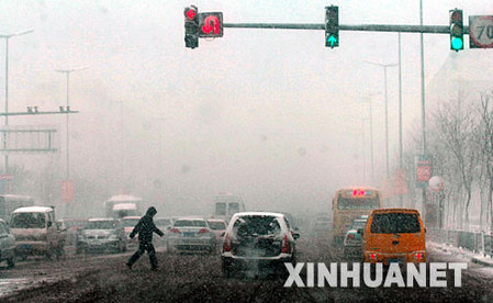 11月19日，在沈阳街头，车辆在浓雾和大雪中缓慢行驶。当日，沈阳出现雾雪天气，交通受到严重影响。     新华社记者　李钢　摄 