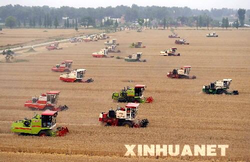 「全国小麦多地域収穫始動式」が25日19時、河南省南陽市で開催された。