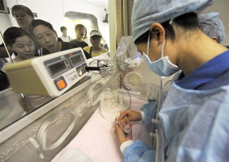 工作人员正给一出生两天的熊猫宝宝检查身体。
