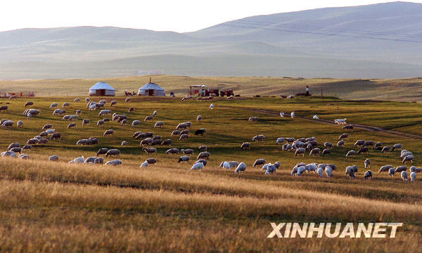 森林面積が全国1位に　内蒙古に「緑の長城」
