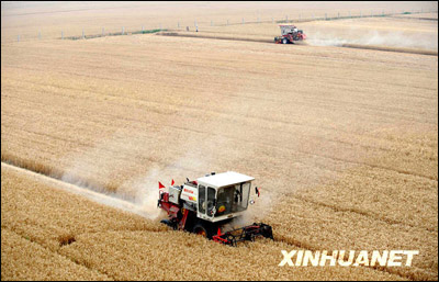 中国、夏季収穫食糧が6年連続で増産
