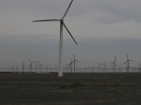 エコ発電、中国の砂漠に深く根付く