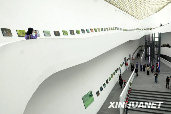 11月2日，人们在中国湿地博物馆内参观。