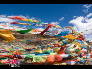 「色彩の天国」のような風景