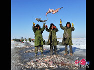 魚網(wǎng)の動きにそって多くの魚が元気よく氷の穴から跳ね出し、水しぶきが漁民の靴や上著、観光客の體、顔、カメラのレンズまで飛び散る。黒龍江省のドルボド?モンゴル族自治県では18日から冬の漁が始まり、漁民たちは伝統(tǒng)的な湖の神を祭る方法で平穏無事を祈る。