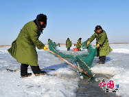 魚網(wǎng)の動きにそって多くの魚が元気よく氷の穴から跳ね出し、水しぶきが漁民の靴や上著、観光客の體、顔、カメラのレンズまで飛び散る。黒龍江省のドルボド?モンゴル族自治県では18日から冬の漁が始まり、漁民たちは伝統(tǒng)的な湖の神を祭る方法で平穏無事を祈る。