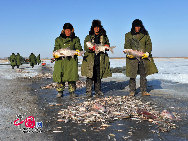 魚網(wǎng)の動きにそって多くの魚が元気よく氷の穴から跳ね出し、水しぶきが漁民の靴や上著、観光客の體、顔、カメラのレンズまで飛び散る。黒龍江省のドルボド?モンゴル族自治県では18日から冬の漁が始まり、漁民たちは伝統(tǒng)的な湖の神を祭る方法で平穏無事を祈る。