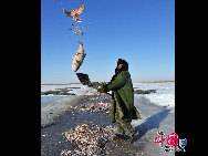 魚網(wǎng)の動きにそって多くの魚が元気よく氷の穴から跳ね出し、水しぶきが漁民の靴や上著、観光客の體、顔、カメラのレンズまで飛び散る。黒龍江省のドルボド?モンゴル族自治県では18日から冬の漁が始まり、漁民たちは伝統(tǒng)的な湖の神を祭る方法で平穏無事を祈る。