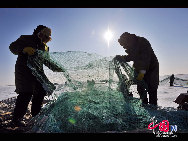 魚網(wǎng)の動きにそって多くの魚が元気よく氷の穴から跳ね出し、水しぶきが漁民の靴や上著、観光客の體、顔、カメラのレンズまで飛び散る。黒龍江省のドルボド?モンゴル族自治県では18日から冬の漁が始まり、漁民たちは伝統(tǒng)的な湖の神を祭る方法で平穏無事を祈る。