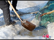 魚網(wǎng)の動きにそって多くの魚が元気よく氷の穴から跳ね出し、水しぶきが漁民の靴や上著、観光客の體、顔、カメラのレンズまで飛び散る。黒龍江省のドルボド?モンゴル族自治県では18日から冬の漁が始まり、漁民たちは伝統(tǒng)的な湖の神を祭る方法で平穏無事を祈る。