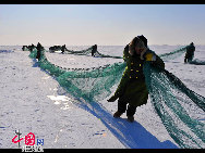 魚網(wǎng)の動きにそって多くの魚が元気よく氷の穴から跳ね出し、水しぶきが漁民の靴や上著、観光客の體、顔、カメラのレンズまで飛び散る。黒龍江省のドルボド?モンゴル族自治県では18日から冬の漁が始まり、漁民たちは伝統(tǒng)的な湖の神を祭る方法で平穏無事を祈る。